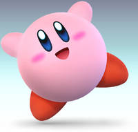 41204