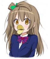 44048